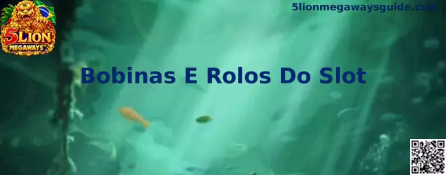 Bobinas e Rolos do Slot